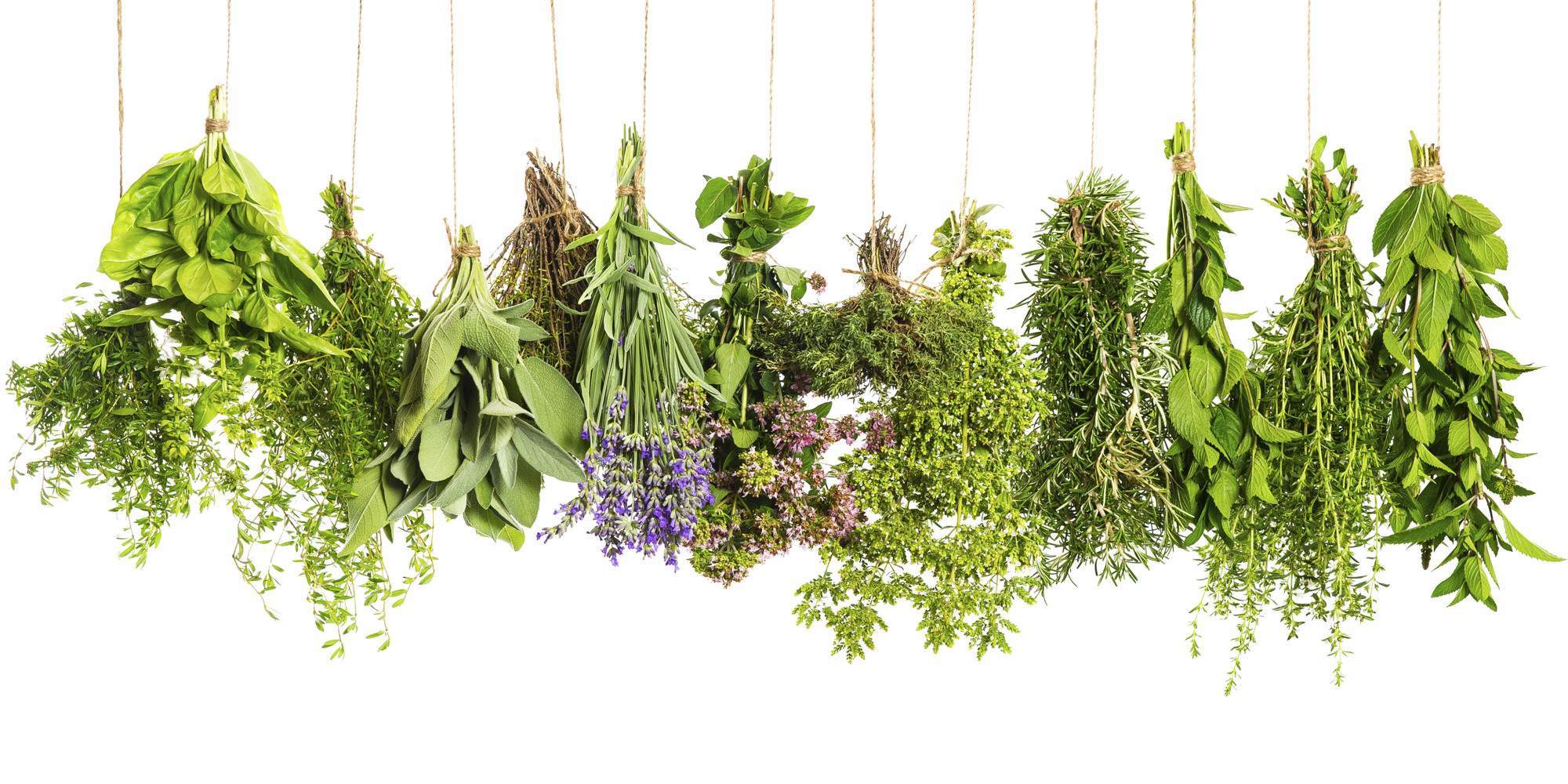 Energy herbs